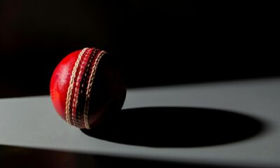 Cricket ball